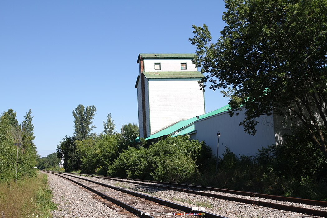 71 photos marquantes en 2016 à Windsor