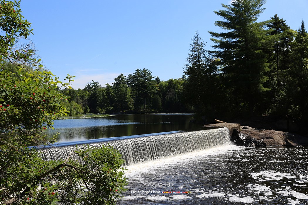 71 photos marquantes en 2016 à Windsor