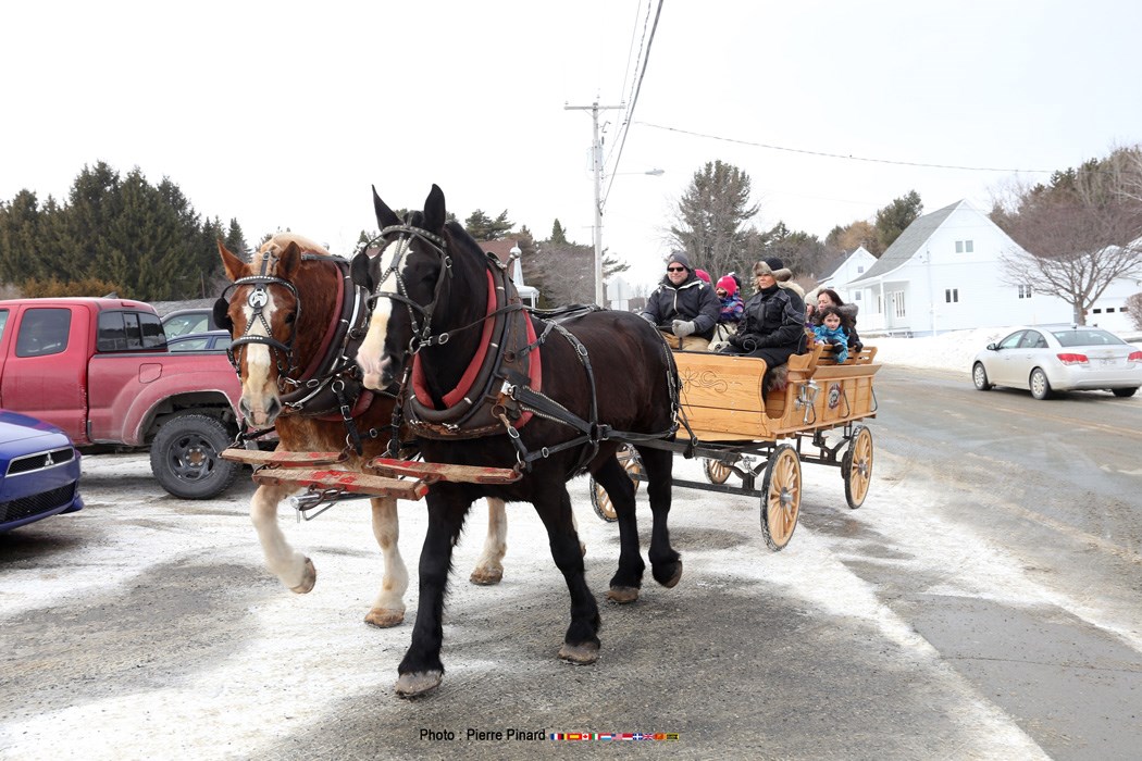 Carnaval de St-François-Xavier 2016