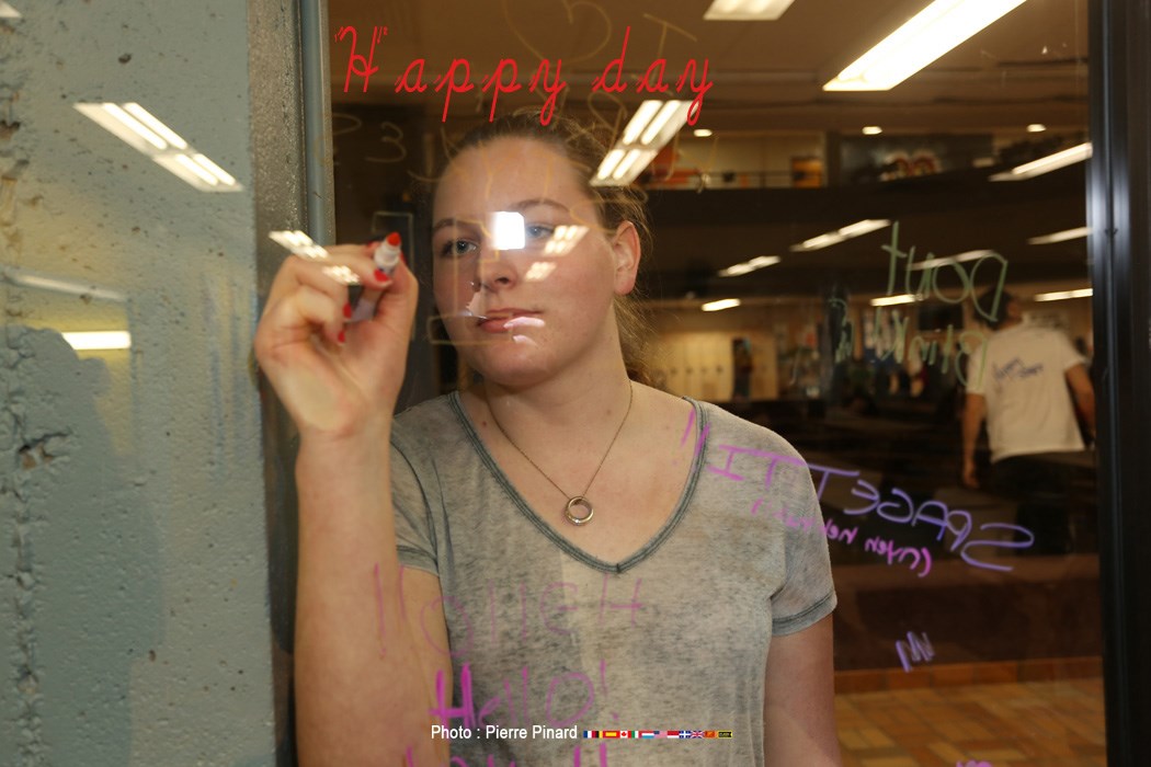 Du Tournesol « Happy day »