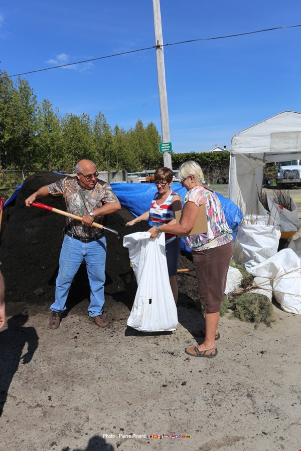 Distribution de compost à Windsor