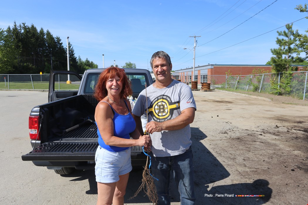 Distribution de compost à Windsor