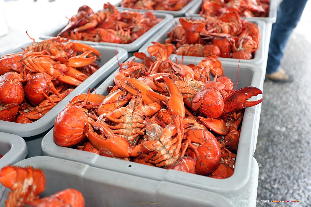 Souper aux homards 2016