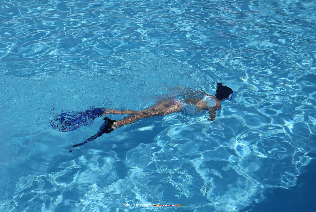 Services animation estival 2016-2