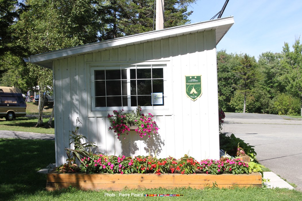 Festival country retro de Windsor