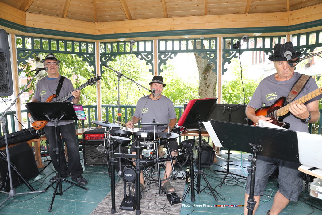 Parc du Centenaire - Spectacle