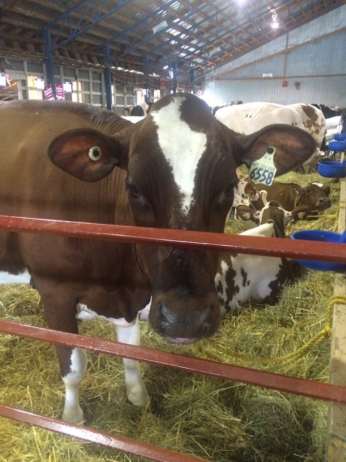 Exposition de Richmond 2016