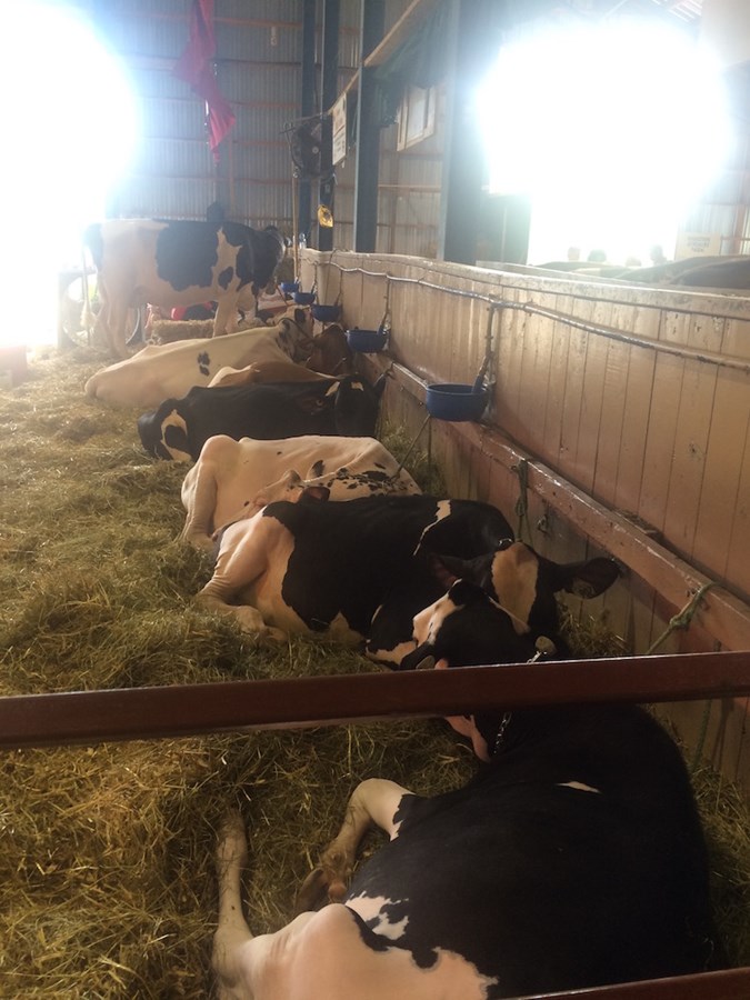 Exposition de Richmond 2016