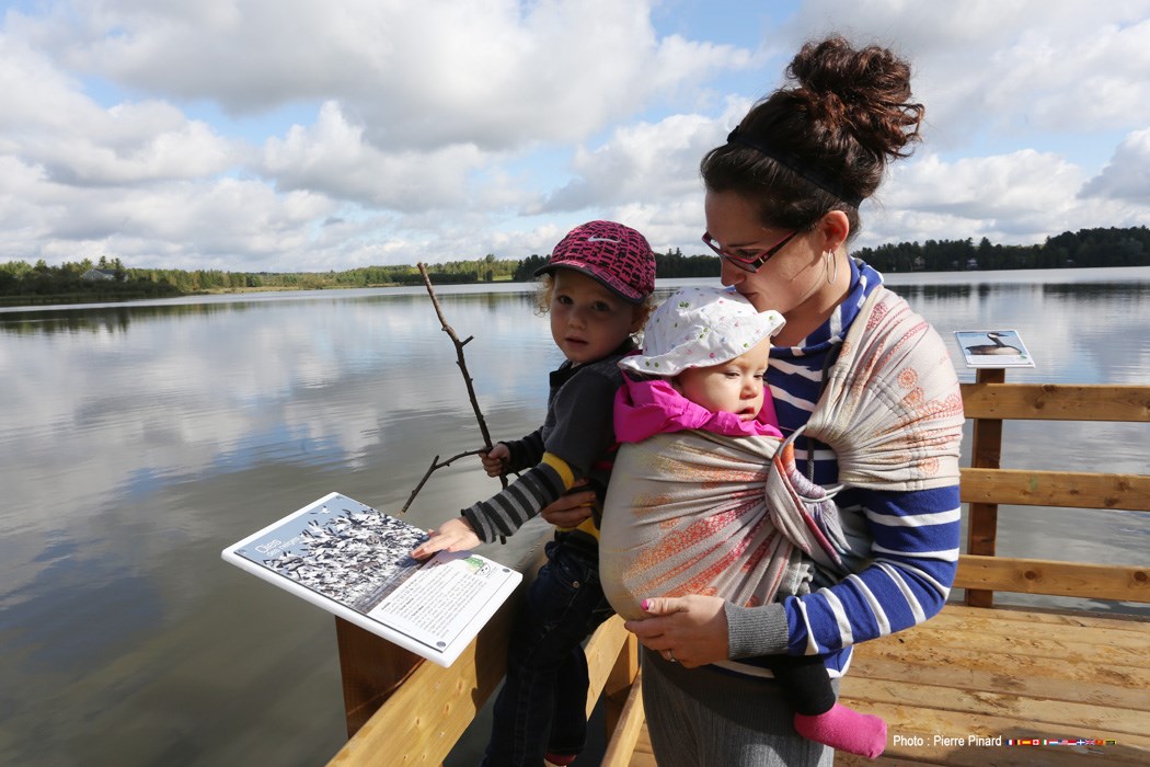 Poste d'observation à St-François-Xavier