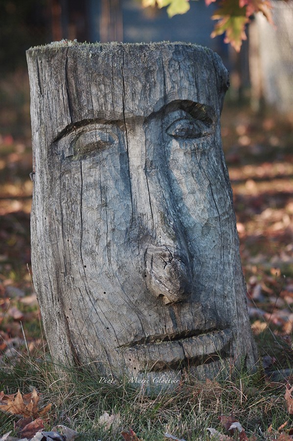 35e EXPO_PHOTO de la galerie Château-du-Bel-Âge