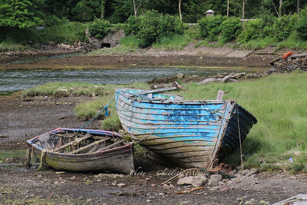 35e EXPO_PHOTO de la galerie Château-du-Bel-Âge