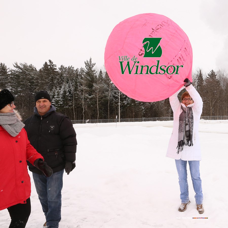 Photos marquantes de 2017 à Windsor -  Pierre Pinard 