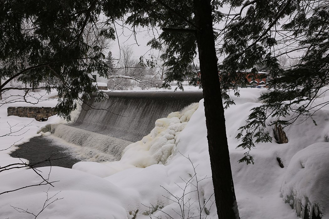 Photos marquantes de 2017 à Windsor -  Pierre Pinard 