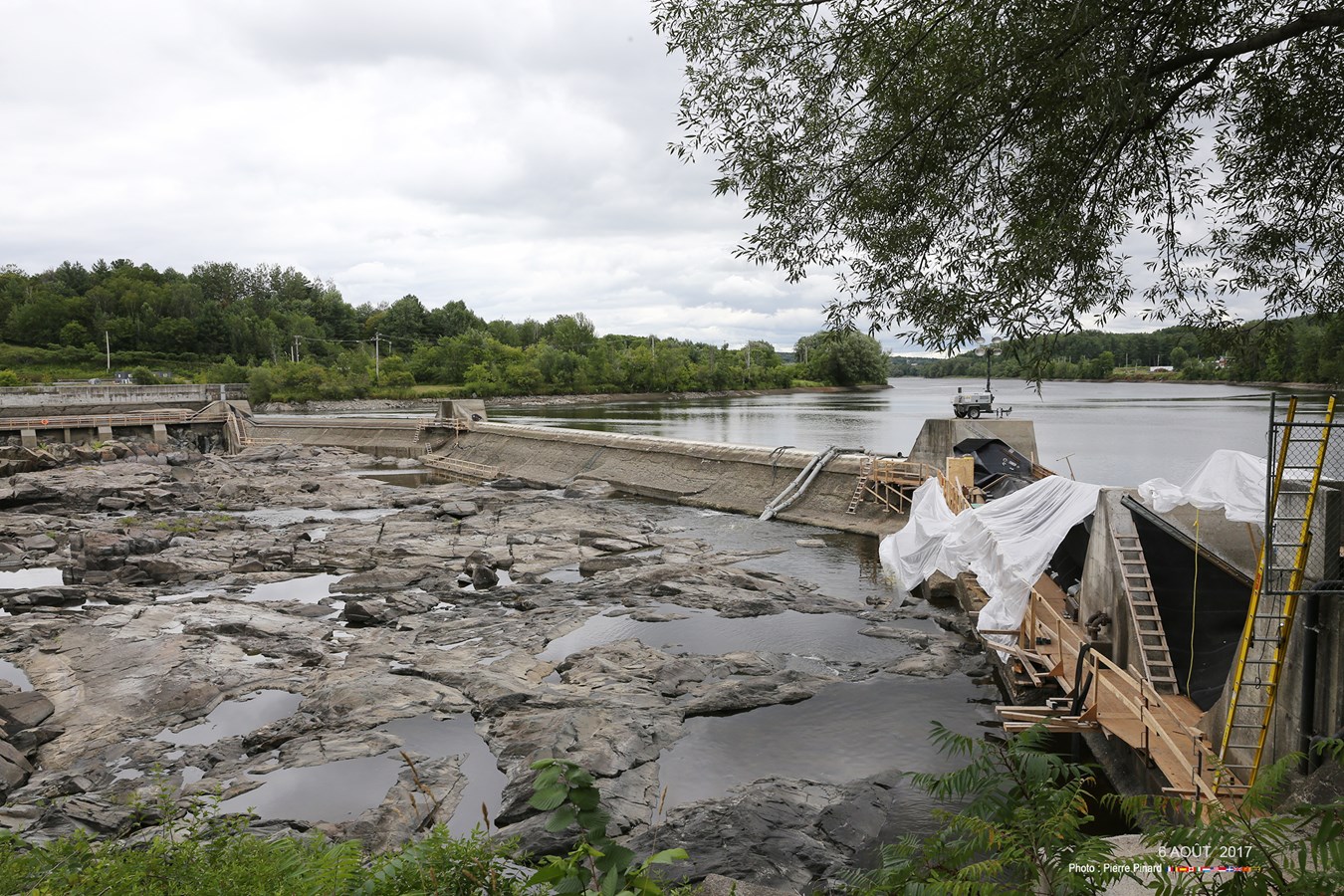 Photos marquantes de 2017 à Windsor -  Pierre Pinard 