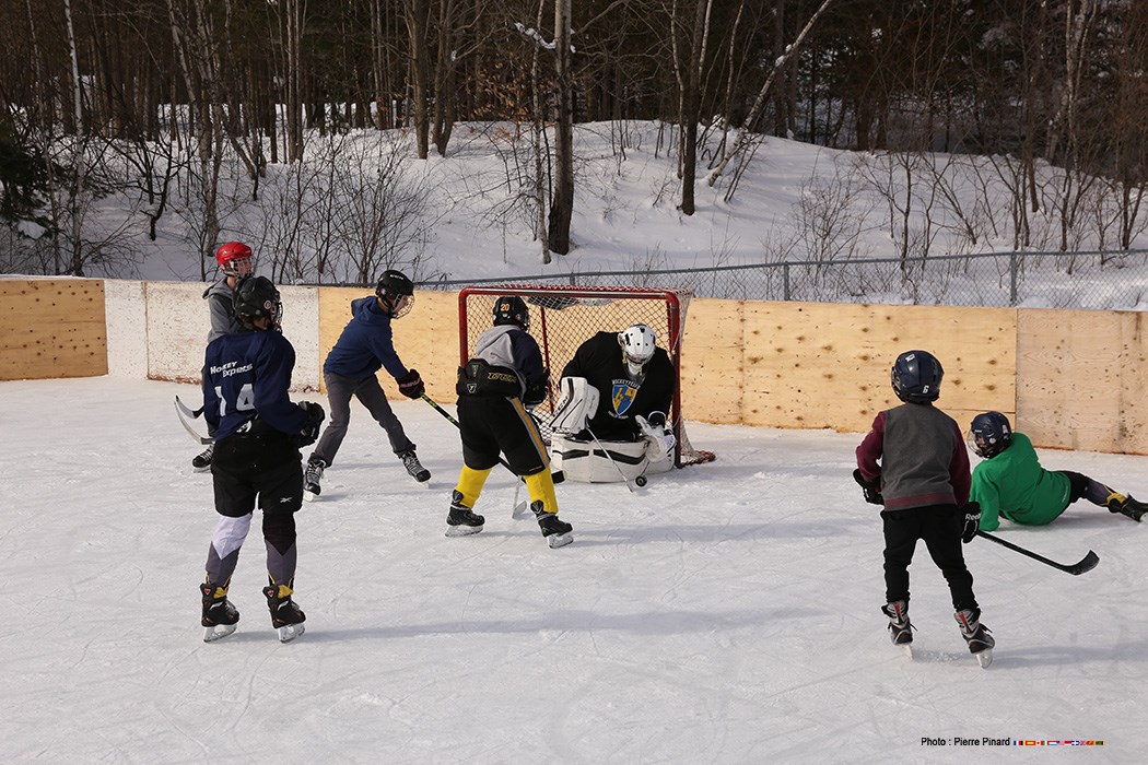 Carnaval de St-François-Xavier 2017