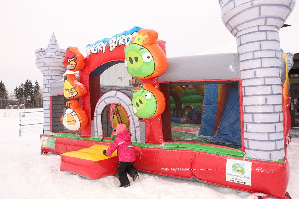 Plaisirs d'hiver 2017