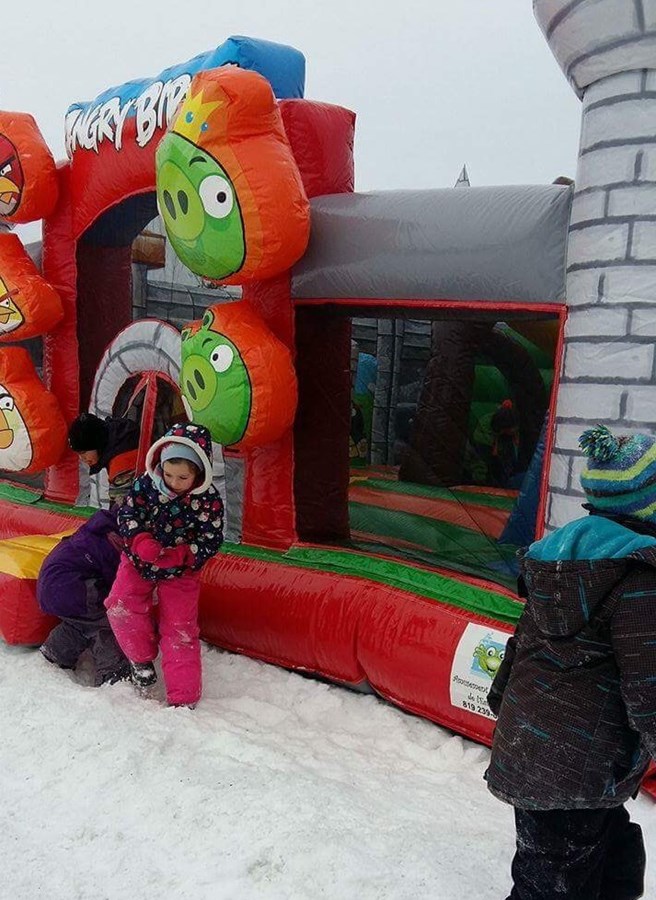 Plaisirs d'hiver 2017