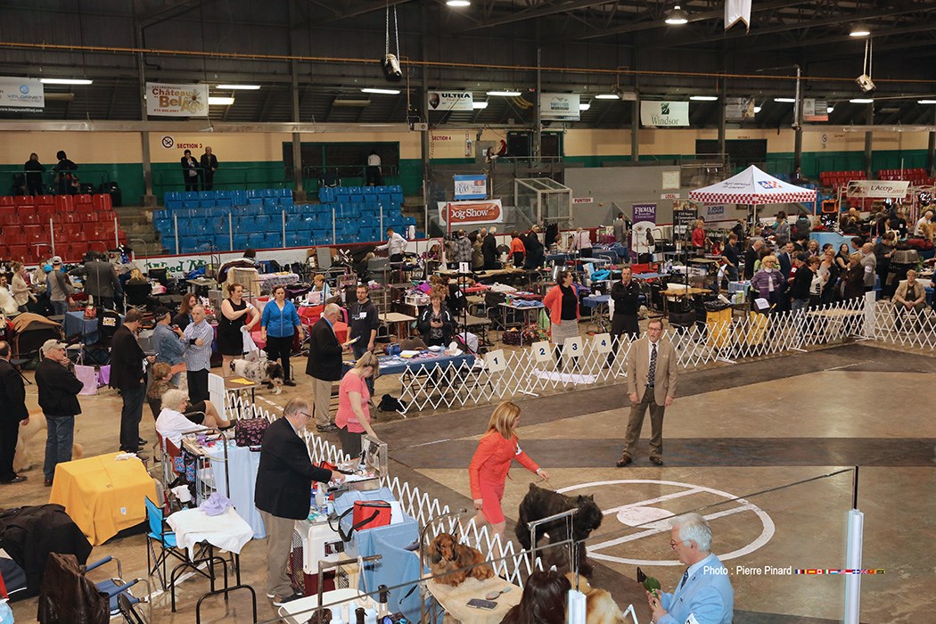 Salon Canin 2017 à Windsor qc