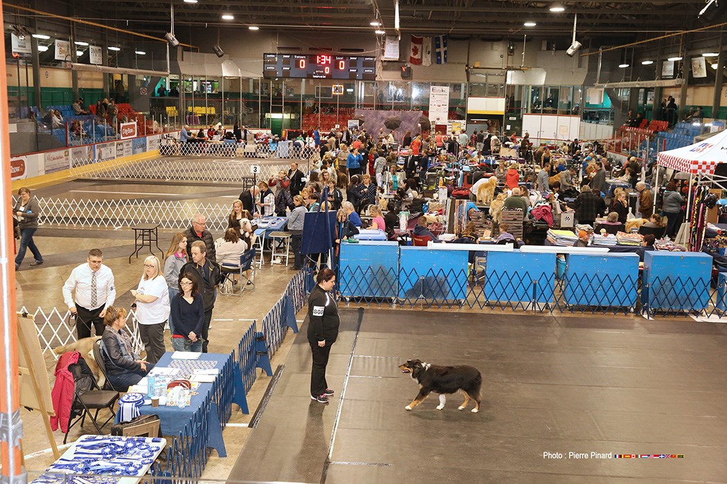 Salon Canin 2017 à Windsor qc