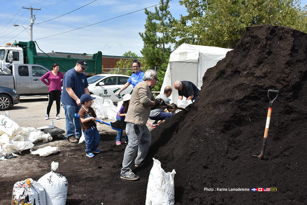 Distribution de compost à Windsor