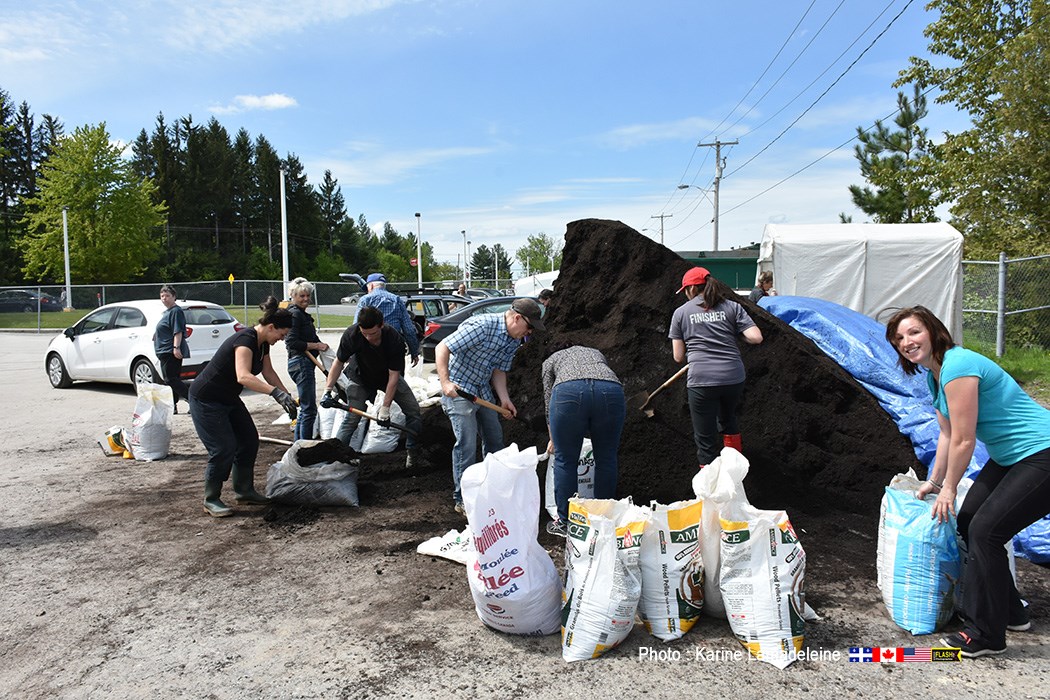 Distribution de compost à Windsor