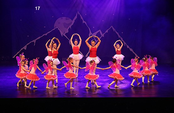 25e spectacle Sudio Hélène-Borgia (2017)