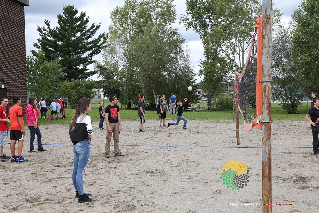 Du Tournesol - Rentrée  2017