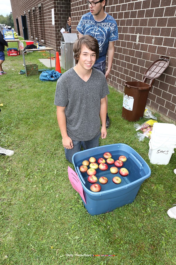 Du Tournesol - Rentrée  2017