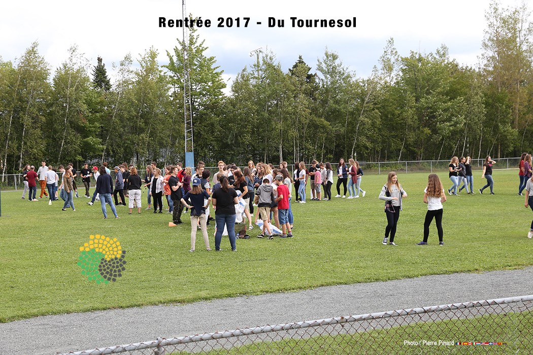 Du Tournesol - Rentrée  2017