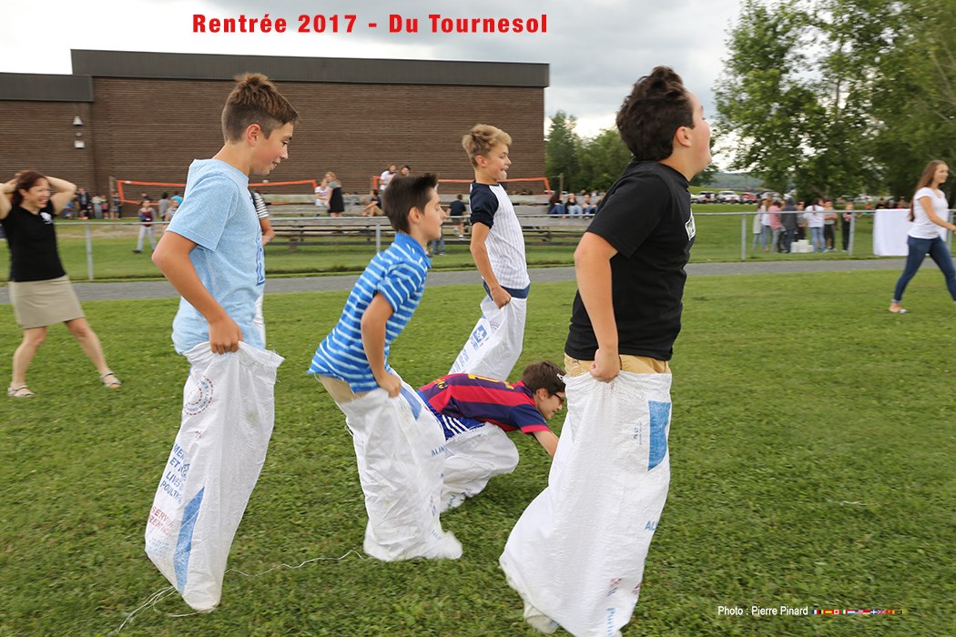 Du Tournesol - Rentrée  2017