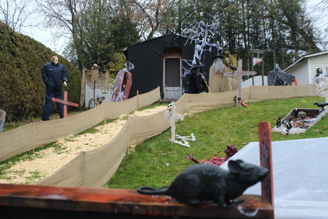 Halloween à Windsor 2019